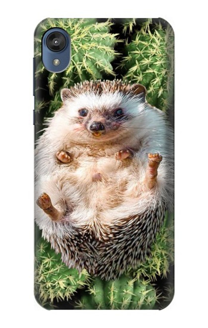 W3863 Pygmy Hedgehog Dwarf Hedgehog Paint Hülle Schutzhülle Taschen und Leder Flip für Motorola Moto E6, Moto E (6th Gen)