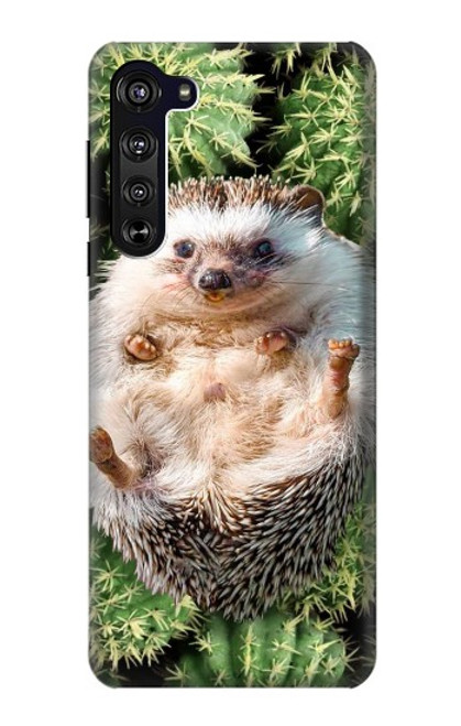 W3863 Pygmy Hedgehog Dwarf Hedgehog Paint Hülle Schutzhülle Taschen und Leder Flip für Motorola Edge