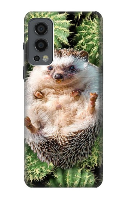 W3863 Pygmy Hedgehog Dwarf Hedgehog Paint Hülle Schutzhülle Taschen und Leder Flip für OnePlus Nord 2 5G