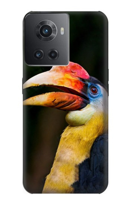 W3876 Colorful Hornbill Hülle Schutzhülle Taschen und Leder Flip für OnePlus 10R