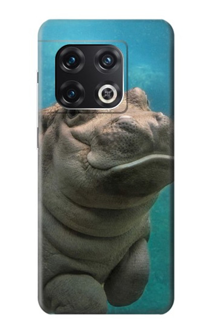 W3871 Cute Baby Hippo Hippopotamus Hülle Schutzhülle Taschen und Leder Flip für OnePlus 10 Pro