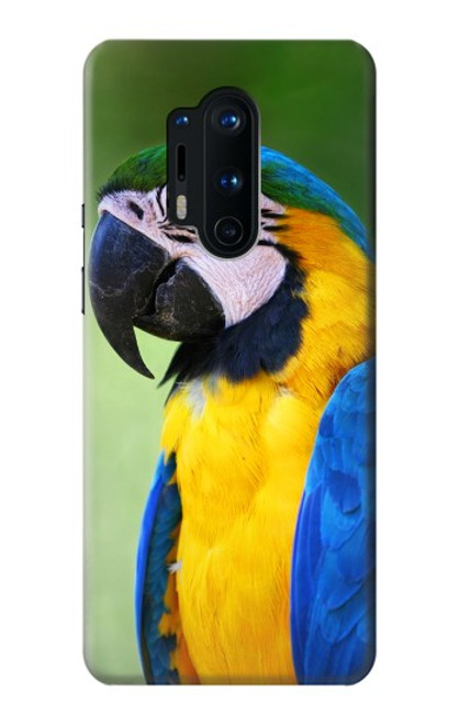 W3888 Macaw Face Bird Hülle Schutzhülle Taschen und Leder Flip für OnePlus 8 Pro