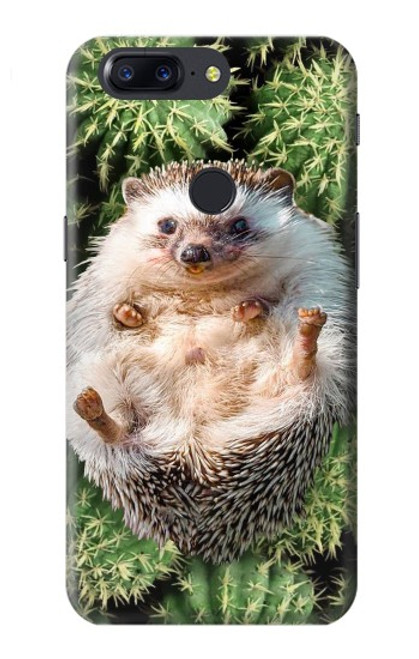 W3863 Pygmy Hedgehog Dwarf Hedgehog Paint Hülle Schutzhülle Taschen und Leder Flip für OnePlus 5T