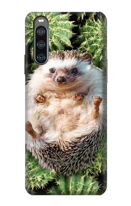 W3863 Pygmy Hedgehog Dwarf Hedgehog Paint Hülle Schutzhülle Taschen und Leder Flip für Sony Xperia 10 IV