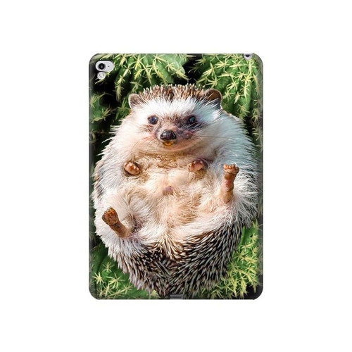 W3863 Pygmy Hedgehog Dwarf Hedgehog Paint Tablet Hülle Schutzhülle Taschen für iPad Pro 12.9 (2015,2017)