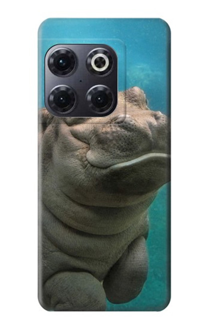 W3871 Cute Baby Hippo Hippopotamus Hülle Schutzhülle Taschen und Leder Flip für OnePlus 10T