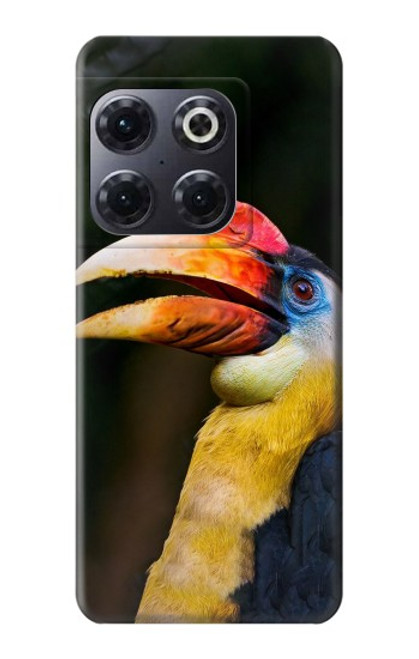 W3876 Colorful Hornbill Hülle Schutzhülle Taschen und Leder Flip für OnePlus 10T