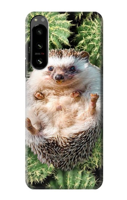 W3863 Pygmy Hedgehog Dwarf Hedgehog Paint Hülle Schutzhülle Taschen und Leder Flip für Sony Xperia 5 IV