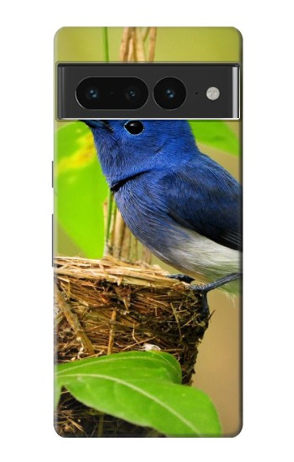 W3839 Bluebird of Happiness Blue Bird Hülle Schutzhülle Taschen und Leder Flip für Google Pixel 7 Pro