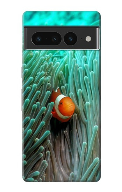 W3893 Ocellaris clownfish Hülle Schutzhülle Taschen und Leder Flip für Google Pixel 7 Pro