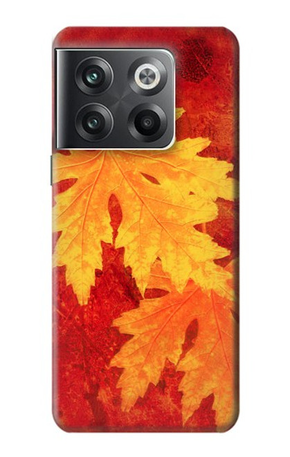 W0479 Maple Leaf Hülle Schutzhülle Taschen und Leder Flip für OnePlus Ace Pro