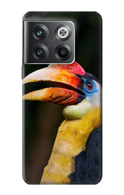 W3876 Colorful Hornbill Hülle Schutzhülle Taschen und Leder Flip für OnePlus Ace Pro