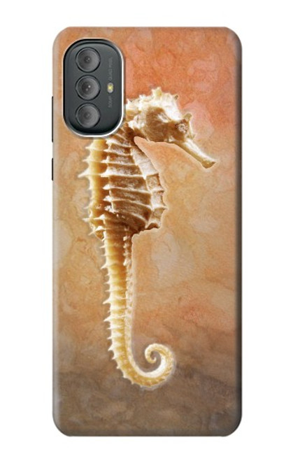 W2674 Seahorse Skeleton Fossil Hülle Schutzhülle Taschen und Leder Flip für Motorola Moto G Power 2022, G Play 2023
