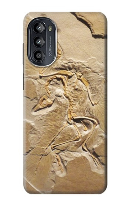 W0380 Dinosaur Fossil Hülle Schutzhülle Taschen und Leder Flip für Motorola Moto G52, G82 5G