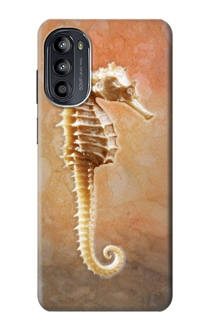 W2674 Seahorse Skeleton Fossil Hülle Schutzhülle Taschen und Leder Flip für Motorola Moto G52, G82 5G