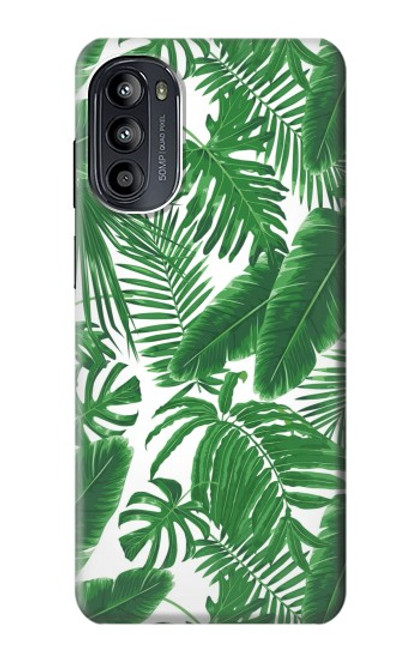 W3457 Paper Palm Monstera Hülle Schutzhülle Taschen und Leder Flip für Motorola Moto G52, G82 5G