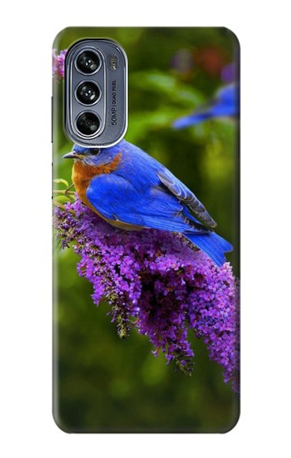 W1565 Bluebird of Happiness Blue Bird Hülle Schutzhülle Taschen und Leder Flip für Motorola Moto G62 5G