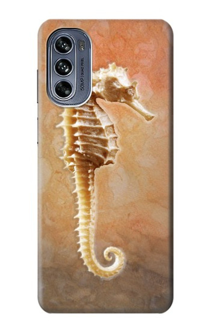 W2674 Seahorse Skeleton Fossil Hülle Schutzhülle Taschen und Leder Flip für Motorola Moto G62 5G
