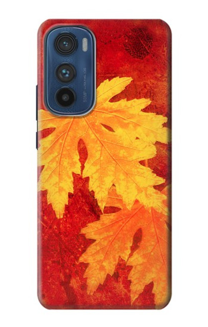 W0479 Maple Leaf Hülle Schutzhülle Taschen und Leder Flip für Motorola Edge 30