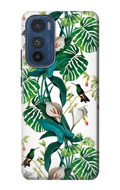 W3697 Leaf Life Birds Hülle Schutzhülle Taschen und Leder Flip für Motorola Edge 30