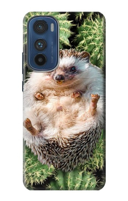 W3863 Pygmy Hedgehog Dwarf Hedgehog Paint Hülle Schutzhülle Taschen und Leder Flip für Motorola Edge 30