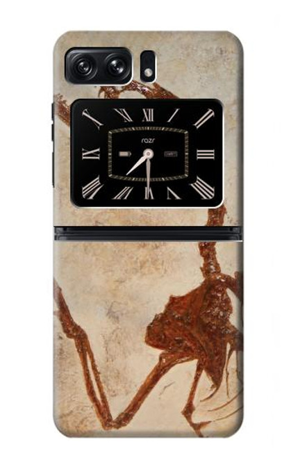 W0379 Dinosaur Fossil Hülle Schutzhülle Taschen und Leder Flip für Motorola Moto Razr 2022