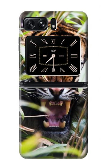 W3838 Barking Bengal Tiger Hülle Schutzhülle Taschen und Leder Flip für Motorola Moto Razr 2022