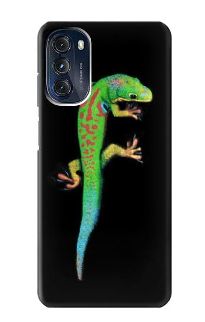 W0125 Green Madagascan Gecko Hülle Schutzhülle Taschen und Leder Flip für Motorola Moto G 5G (2023)