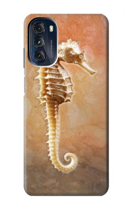 W2674 Seahorse Skeleton Fossil Hülle Schutzhülle Taschen und Leder Flip für Motorola Moto G 5G (2023)