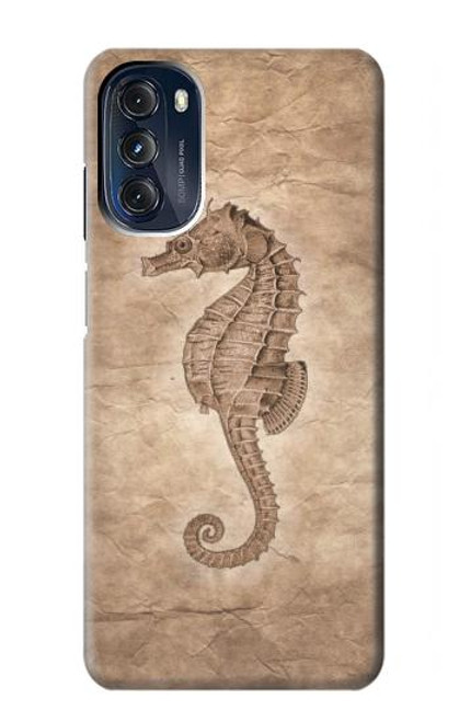 W3214 Seahorse Skeleton Fossil Hülle Schutzhülle Taschen und Leder Flip für Motorola Moto G 5G (2023)