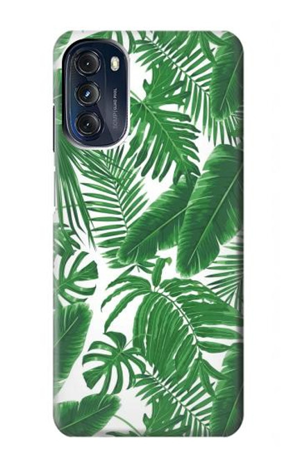 W3457 Paper Palm Monstera Hülle Schutzhülle Taschen und Leder Flip für Motorola Moto G 5G (2023)