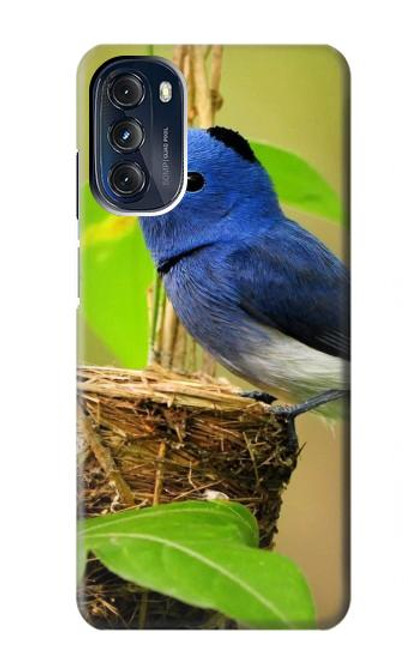 W3839 Bluebird of Happiness Blue Bird Hülle Schutzhülle Taschen und Leder Flip für Motorola Moto G 5G (2023)