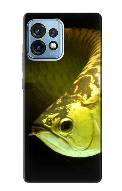 W1021 Gold Arowana Fish Hülle Schutzhülle Taschen und Leder Flip für Motorola Edge+ (2023), X40, X40 Pro, Edge 40 Pro