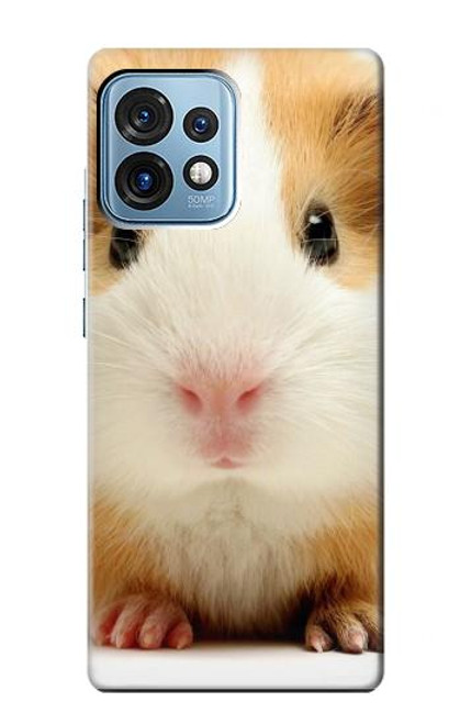 W1619 Cute Guinea Pig Hülle Schutzhülle Taschen und Leder Flip für Motorola Edge+ (2023), X40, X40 Pro, Edge 40 Pro