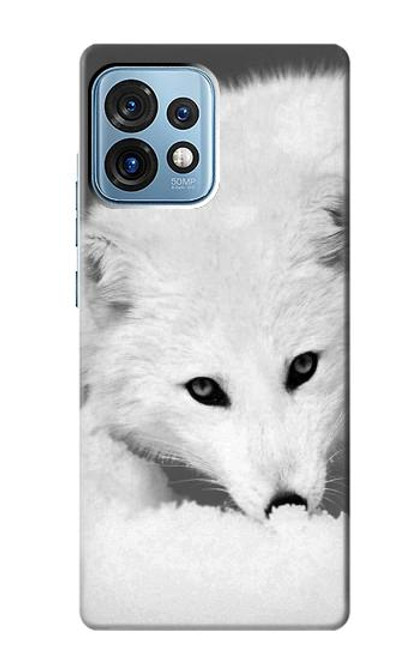 W2569 White Arctic Fox Hülle Schutzhülle Taschen und Leder Flip für Motorola Edge+ (2023), X40, X40 Pro, Edge 40 Pro