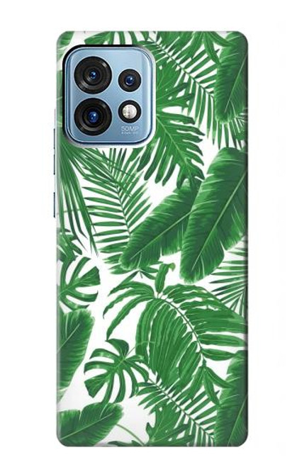 W3457 Paper Palm Monstera Hülle Schutzhülle Taschen und Leder Flip für Motorola Edge+ (2023), X40, X40 Pro, Edge 40 Pro