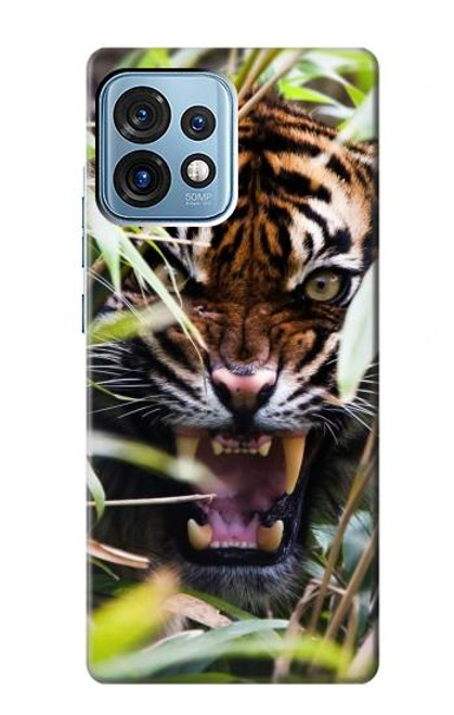 W3838 Barking Bengal Tiger Hülle Schutzhülle Taschen und Leder Flip für Motorola Edge+ (2023), X40, X40 Pro, Edge 40 Pro