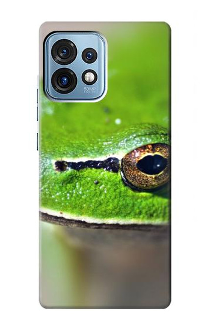 W3845 Green frog Hülle Schutzhülle Taschen und Leder Flip für Motorola Edge+ (2023), X40, X40 Pro, Edge 40 Pro