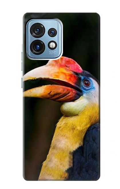 W3876 Colorful Hornbill Hülle Schutzhülle Taschen und Leder Flip für Motorola Edge+ (2023), X40, X40 Pro, Edge 40 Pro