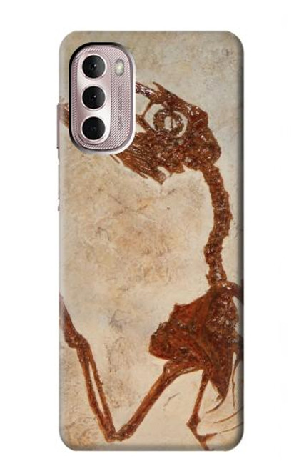 W0379 Dinosaur Fossil Hülle Schutzhülle Taschen und Leder Flip für Motorola Moto G Stylus 4G (2022)