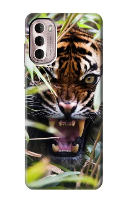 W3838 Barking Bengal Tiger Hülle Schutzhülle Taschen und Leder Flip für Motorola Moto G Stylus 4G (2022)