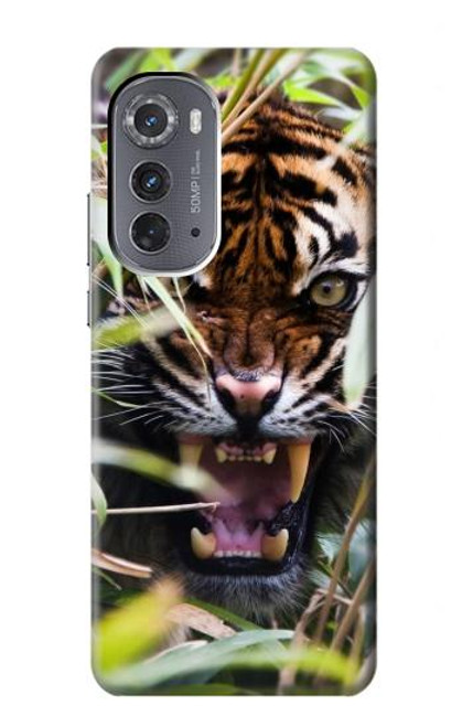 W3838 Barking Bengal Tiger Hülle Schutzhülle Taschen und Leder Flip für Motorola Edge (2022)