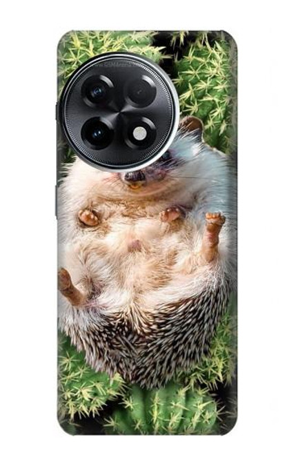 W3863 Pygmy Hedgehog Dwarf Hedgehog Paint Hülle Schutzhülle Taschen und Leder Flip für OnePlus 11R