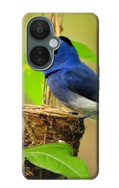 W3839 Bluebird of Happiness Blue Bird Hülle Schutzhülle Taschen und Leder Flip für OnePlus Nord CE 3 Lite, Nord N30 5G
