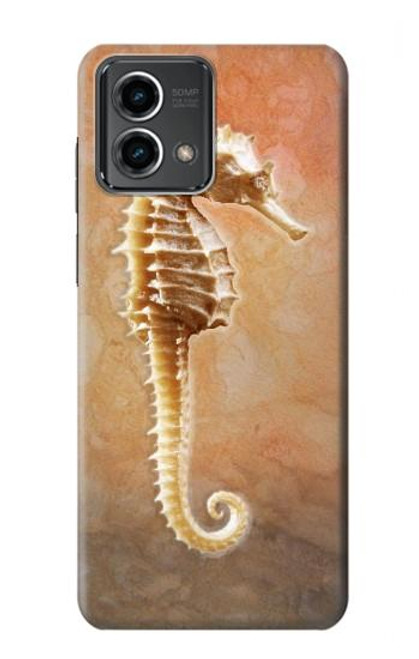 W2674 Seahorse Skeleton Fossil Hülle Schutzhülle Taschen und Leder Flip für Motorola Moto G Stylus 5G (2023)
