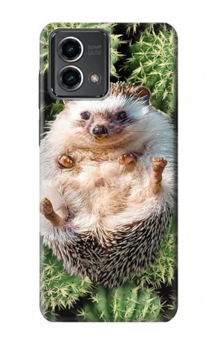 W3863 Pygmy Hedgehog Dwarf Hedgehog Paint Hülle Schutzhülle Taschen und Leder Flip für Motorola Moto G Stylus 5G (2023)