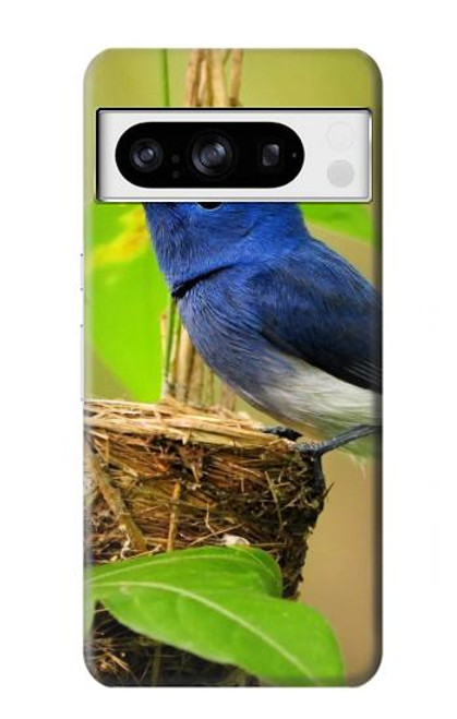 W3839 Bluebird of Happiness Blue Bird Hülle Schutzhülle Taschen und Leder Flip für Google Pixel 8 pro