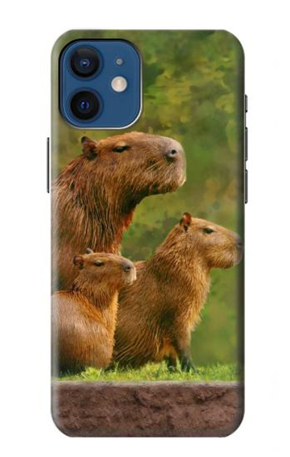 W3917 Capybara Family Giant Guinea Pig Hülle Schutzhülle Taschen und Leder Flip für iPhone 12 mini