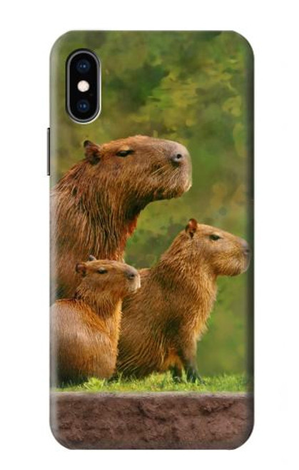 W3917 Capybara Family Giant Guinea Pig Hülle Schutzhülle Taschen und Leder Flip für iPhone X, iPhone XS