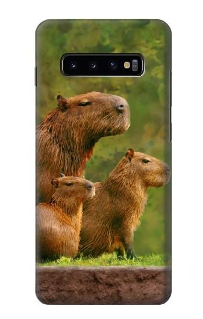 W3917 Capybara Family Giant Guinea Pig Hülle Schutzhülle Taschen und Leder Flip für Samsung Galaxy S10 Plus